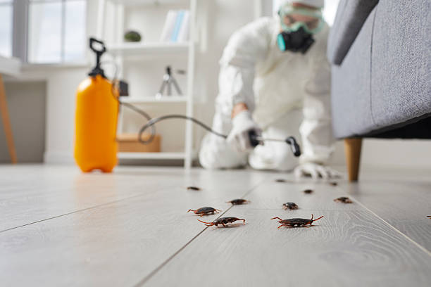 Trusted Fumigation Services service in Estancia, NM - Nex Pest Control