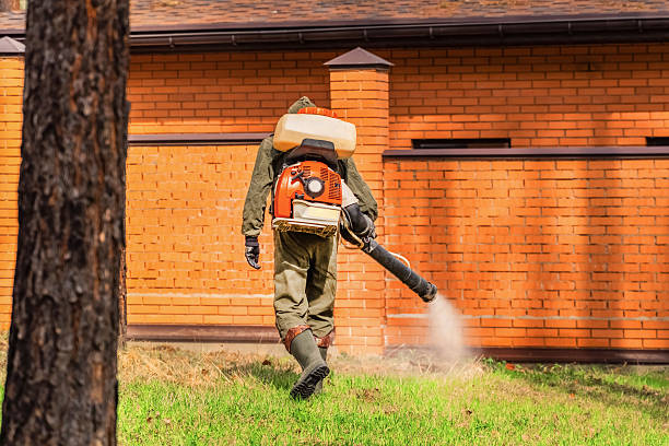 Trusted Termite Control service in Estancia, NM - Nex Pest Control